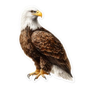 Bald Eagle Vinyl Sticker – Bird Nature Decal for Laptops, Water Bottles, Gifts, Cars and More