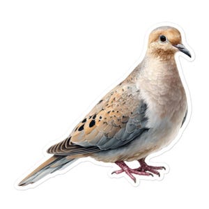 以下が含まれることがあります： 悲しげなハトの詳細なイラストが描かれたステッカー。鳥はベージュ、グレー、茶色の色合いで描かれており、翼には黒い斑点、足はピンク色です。ハトは横顔で、頭をわずかに傾けています。