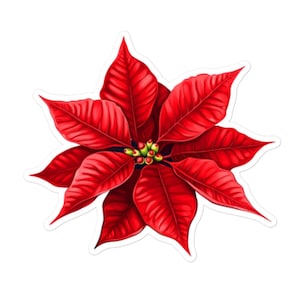 Roter Weihnachtsstern Vinyl Sticker - Weihnachtsblumen Aufkleber für Scrapbooks und mehr