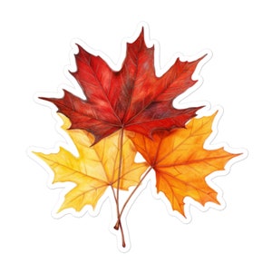 Fall Colors Leaves Vinyl Sticker - Autumn Decal for Home Decor, Laptops, Scrapbook, Journals and More