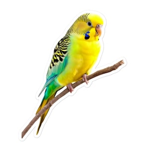 Adesivo de vinil de periquito amarelo e verde - decalque de pássaro periquito para presentes, laptops, álbuns de recortes, garrafas de água e muito mais