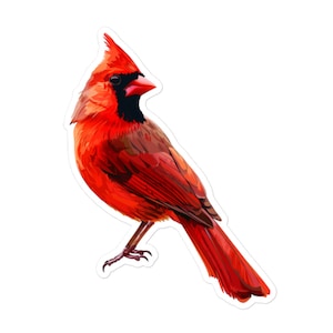 Sticker oiseau cardinal rouge en vinyle - Sticker inspiré de la nature pour ordinateurs portables, bouteilles d'eau et plus