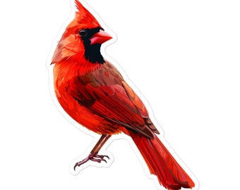 Può includere: Un cardinale rosso con una maschera nera e un becco rosso brillante. L'uccello è appollaiato su un ramo con le ali spiegate.