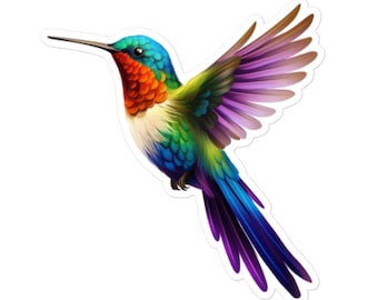 Cute Colorful Hummingbird Vinyl Sticker