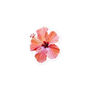 5"x5" Hibiscus Hawaiian Flower Vinyl Decal For Car Truck Window