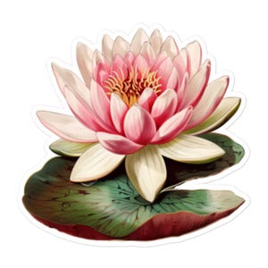 Adesivo in vinile con fiore di loto rosa – Decalcomania botanica vintage con ninfea per laptop, bottiglie d'acqua, regali e altro ancora