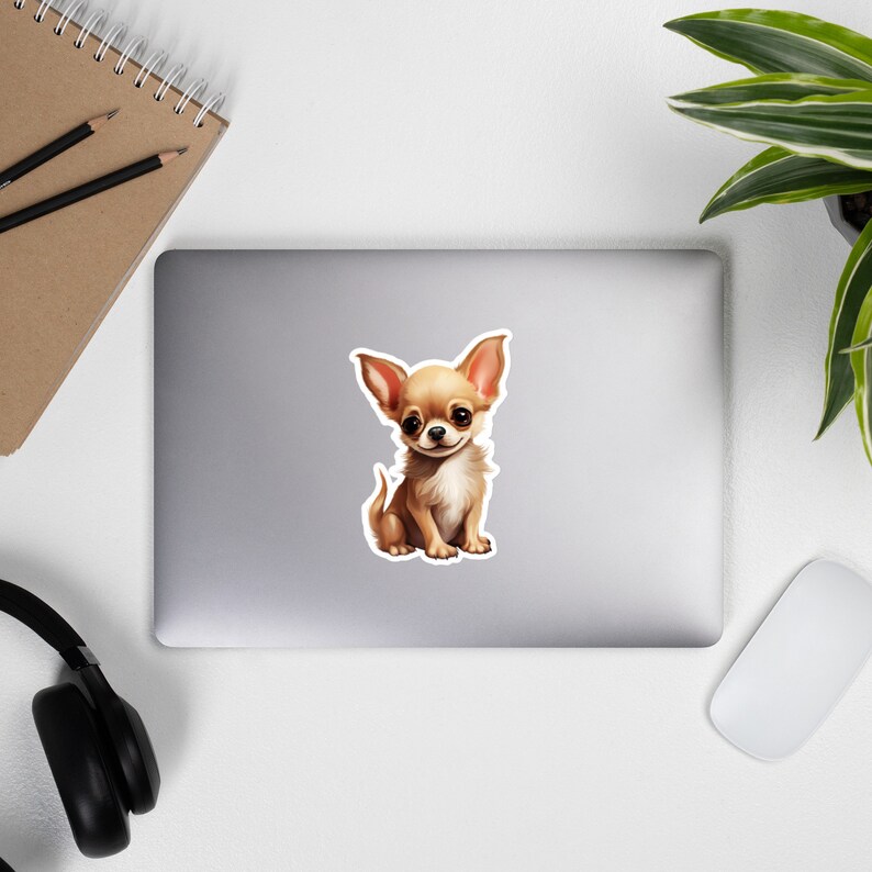 Peut inclure: Un petit chiot chihuahua brun et blanc assis, les oreilles dress&eacute;es, regardant la cam&eacute;ra.