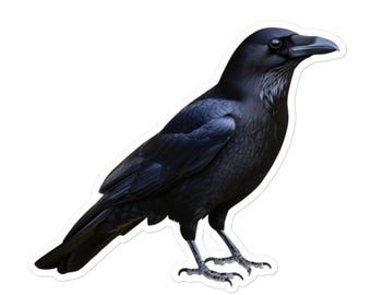 Sticker corbeau en vinyle - Sticker oiseau corbeau gothique pour bouteilles d'eau, ordinateurs portables et journaux