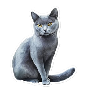 Sticker vinyle chat bleu gris russe – Sticker félin mignon pour ordinateurs portables, bouteilles d'eau, cadeaux, journaux et plus