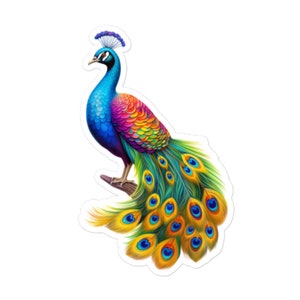 Adesivo in vinile con pavone colorato