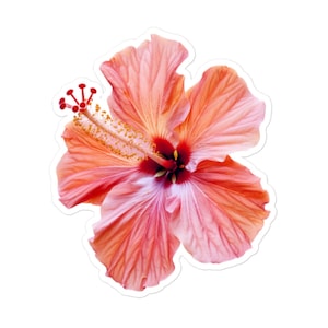 Sticker en vinyle Fleur d'hibiscus vibrante – Sticker floral tropical pour ordinateurs portables, bouteilles d'eau et albums de coupures