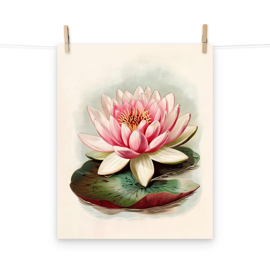 Vintage Pink Lotus Flower Art Print – Botanical Water Lily Poster for ...
