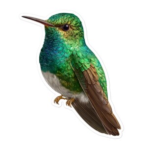 Sticker vinyle colibri vert - sticker oiseau mignon pour cadeaux, albums de coupures, journaux, ordinateurs portables, bouteilles d'eau et plus