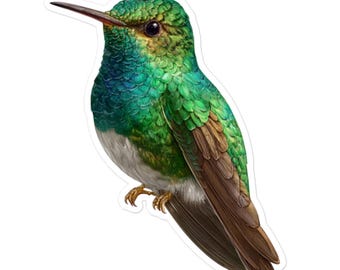 Adesivo de vinil com beija-flor verde - decalque de pássaro fofo para presentes, álbuns de recortes, diários, laptops, garrafas de água e muito mais