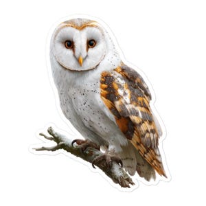 Sticker en vinyle Chouette effraie des bois – Sticker oiseau des bois pour cadeaux, ordinateurs portables, bouteilles d'eau, albums de coupures et plus