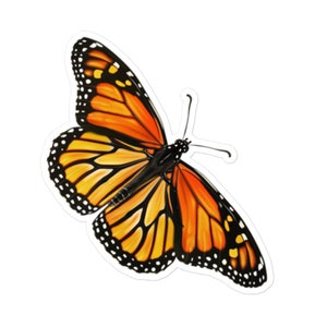 Vinylsticker monarchvlinder - prachtige insectensticker voor laptops, waterflessen, tijdschriften, plakboek en meer