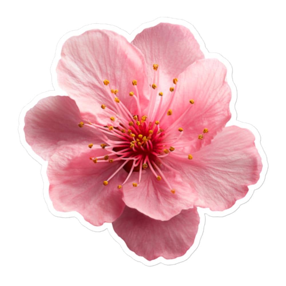 Pink Cherry Blossom Vinyl Sticker – Floral Decal for Laptops, Water ...
