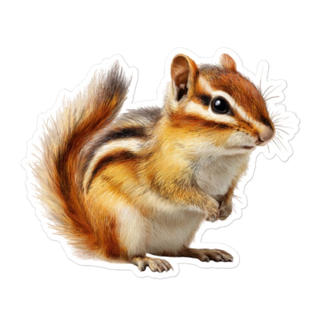 Chipmunk Sticker Chipmunk Vinyl Sticker – Cute Woodland Animal Decal, Cozy Nature ...