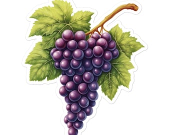 Purple Grapes with Green Leaves and Vine Sticker – Fruit Vinyl Decal for Laptops, Water Bottles, Scrapbooks and More