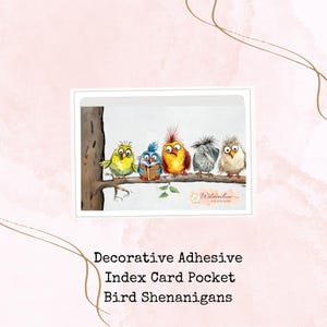 Bolso para cartão de índice adesivo decorativo - Bird Shenanigans * Bolso 3 x 5 * Bolso adesivo * Imagens em aquarela * Armazenamento em aquarela * Adesivo para planejador