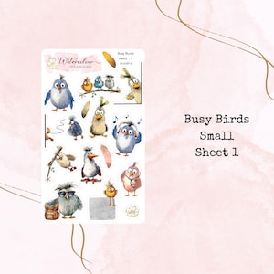 May include: A sheet of colourful watercolour stickers featuring various birds with different expressions. The stickers are titled "Busy Birds Small Sheet 1".