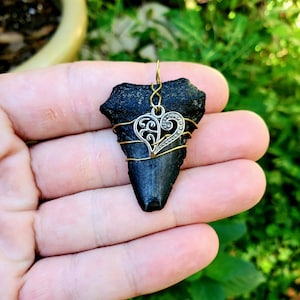 Authentic Megalodon Tooth Necklace