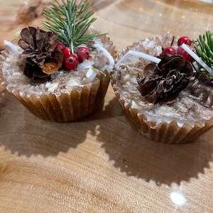 Handmade fire starters, Scented fire starters, Fall fire starters, Autumn fire starters, Fall gift box, Gifts for him, Gifts for her