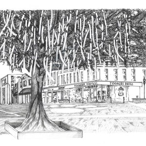 Rolled Toomer&#39;s Corner in Black and White, Orange and Navy