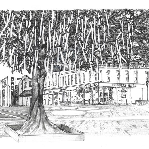 Rolled Toomer's Corner in Black and White, Orange and Navy