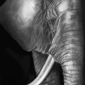 Elephant Print