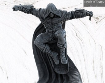 Corvus - The Shrouded Viper - Rogue - Assasin - 32 or 75 mm miniature - D&D - Tabletop RPG