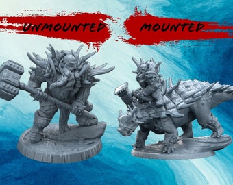 Dwarft paladin - Cleric - Warrior - Fighter -  Barbarian - 32 mm miniature - D&D - Pathfinder - Tabletop RPG