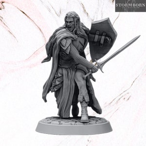 Elven Warrior - Fighter - 32mm miniature - High detail 8k - DnD - Pathfinder - TTRPG Stormborn Collectibles -