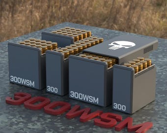 Digital STL file BBOX Ammo box 300 WSM ammunition storage ammo crate 300wsm