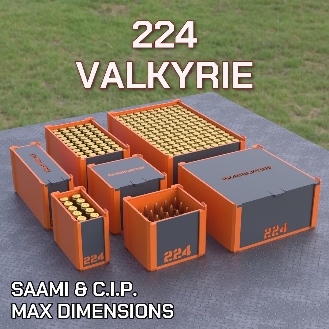 224 Valkyrie Ammo Box - Etsy