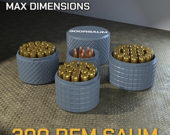 Digital STL file .300 Rem. SA Ultra Mag Ammo Box, 3D Printable CBOX Ammunition Storage, 300 Saum