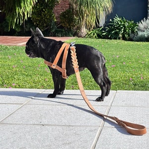 Premium Handmade Leather Leash for Medium Dogs