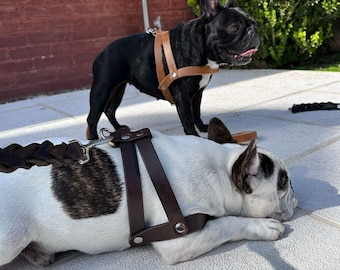 Handmade Leather Dog Harness for Small Dogs