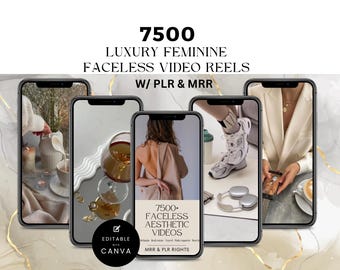 フェイスレスリールマスターの再販権、フェイスレスマーケティングのための高級美的ビデオ、あなた自身のソーシャルメディアマネージャー、PLR