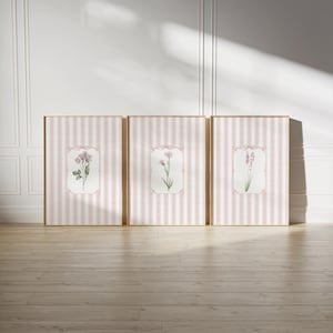 Love Shack Fancy inspired | Coquette room decor | Nancy Meyers aesthetic | Vintage botanical set of 3 | Instant download digital print