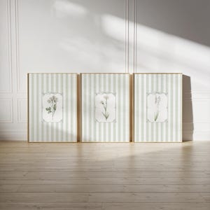 Sage Love Shack Fancy inspired | Coquette room decor | Nancy Meyers aesthetic | Vintage botanical set of 3 | Instant download digital print