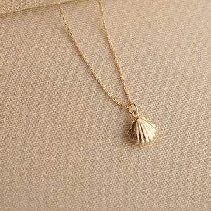 14K Solid Gold Sea Shell Necklace, Dainty 14k Real Gold Shell Necklace, Tiny Solid Gold  Necklace, Minimalist Pendant, Gift For Her