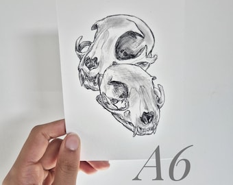 May include: A6-sized art print featuring a detailed pencil drawing of two cat skulls. The skulls are rendered in grayscale, showcasing the intricate bone structure. The print is held by a hand against a white background.