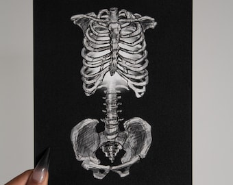 Skeleton Torso Art Print: The Glow Within A5 Illustration