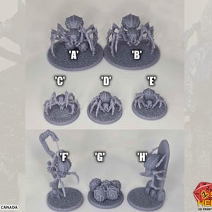 K&ouml;nnte beinhalten: Eine Sammlung grauer, 3D-gedruckter Spinnenminiaturen, beschriftet mit A bis H, auf kreisf&ouml;rmigen Sockeln. Die Miniaturen variieren in Gr&ouml;&szlig;e und Pose, wobei einige stehen und andere eine dynamischere Haltung einnehmen. Der Text "PRINTED IN CANADA" und "SHOT HEROES 3D PRINTING & SHIPPING" sind ebenfalls sichtbar.