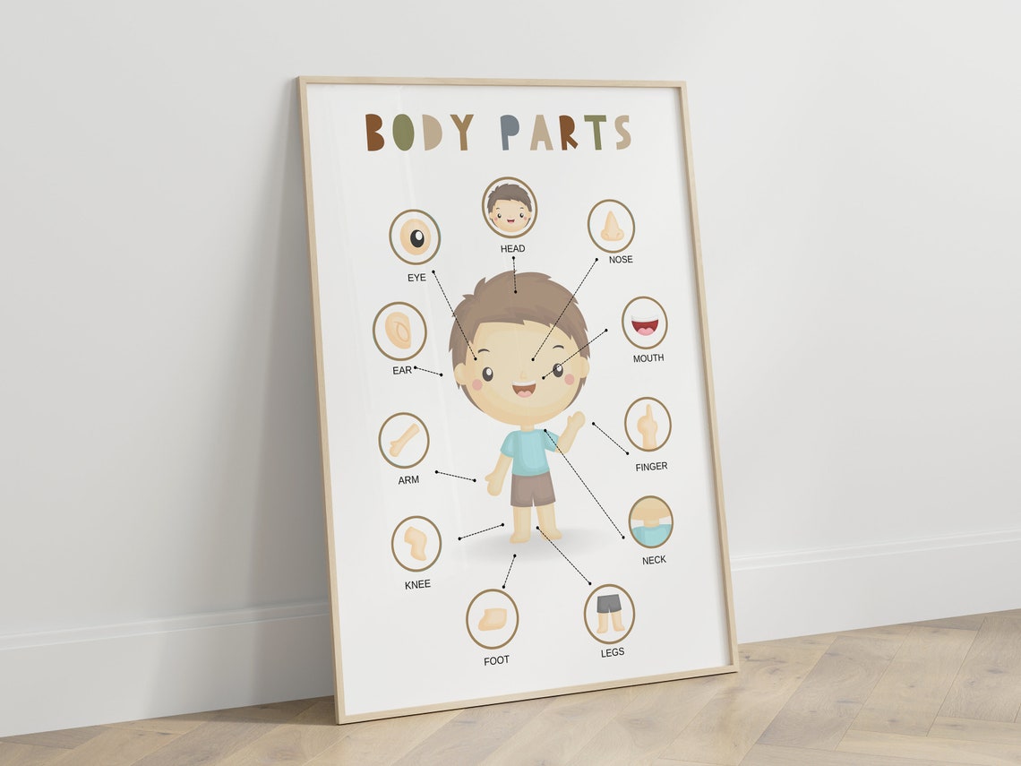 Body Parts Poster,classroom Decor,educational Prints,montessori Poster ...