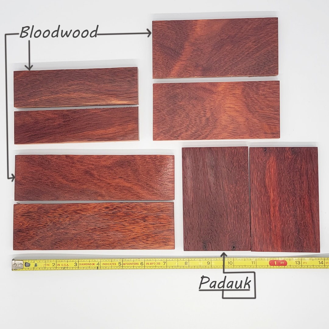 Bloodwood and Padauk Knife Blanks W/ Extras .002 Etsy