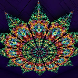 May include: A colourful, symmetrical starburst design. The artwork displays a kaleidoscope of colours, including green, blue, red, and yellow, with intricate details. The background is a deep purple, enhancing the vividness of the central design.