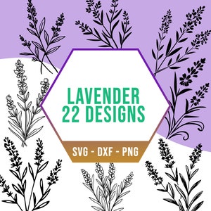Bouquet de fleurs de lavande SVG Bundle, lot de SVG plante bohème lilas dessinés à la main, fichiers PNG Cricut Silhouette pour découpeuse au laser