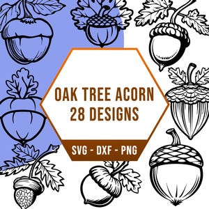 May include: A set of 28 black and white oak tree acorn illustrations. The acorns are drawn in a variety of styles, including simple outlines, detailed drawings, and stylized designs. The text "Oak Tree Acorn 28 Designs" is written in a brown box. The text "SVG - DXF - PNG" is written below the box.
